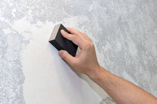 Best Mold Remediation for Healthcare Facilities  in Vassar College, NY