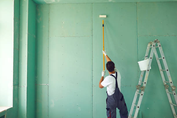 Reliable Vassar College, NY Mold Removal Solutions