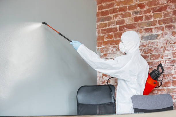 Best Commercial Mold Inspection  in Vassar College, NY
