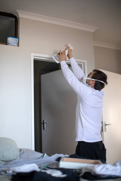 Best Mold Remediation for Vacation Homes  in Vassar College, NY