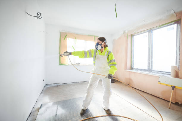 Best Black Mold Removal  in Vassar College, NY