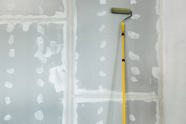 Best Biohazard Mold Removal  in Vassar College, NY