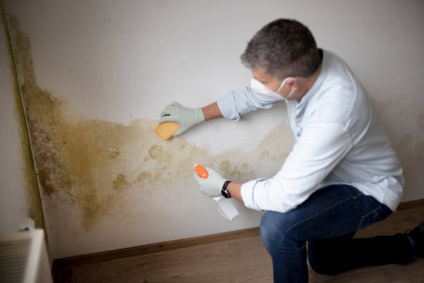 Best Biohazard Mold Removal  in Vassar College, NY