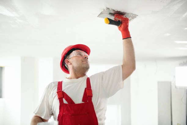 Best Mold Prevention Services  in Vassar College, NY