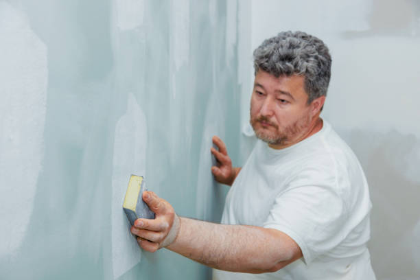 Best Mold Damage Restoration  in Vassar College, NY