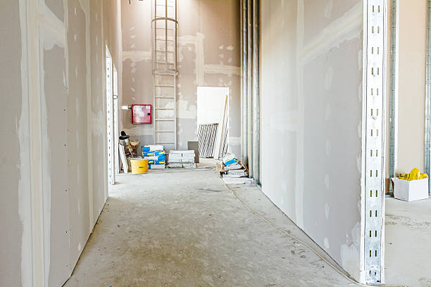 Best Mold Documentation for Insurance Claims  in Vassar College, NY